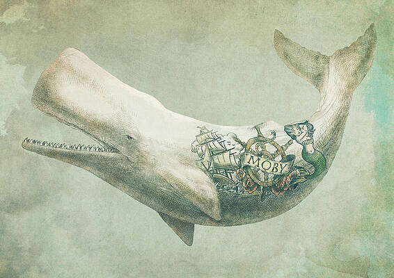 Whale with Nautical Tattoo Wall Art