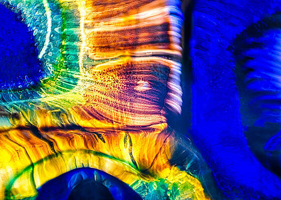 Photograph - Fast Friends by Omaste Witkowski