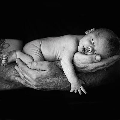 Newborn Cradled in Hands Wall Art