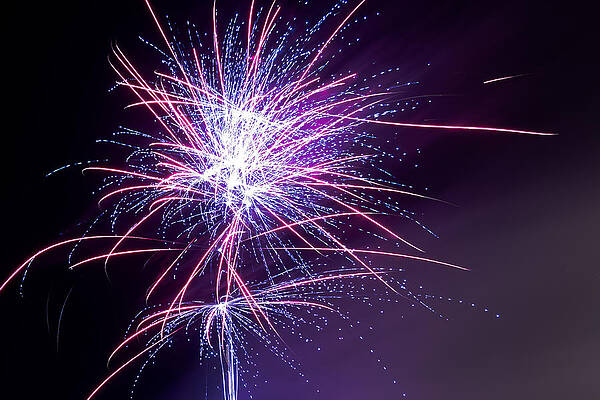 Photograph - Fireworks - Purple Haze by Scott Lyons