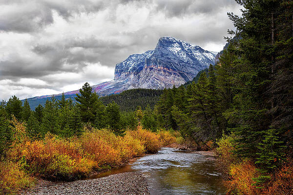 Majestic Mountain and Forest in Autumn Wall Art