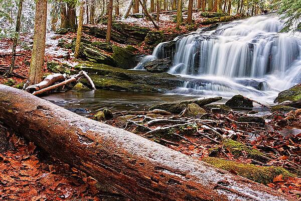 Photograph - First Snow Tucker Brook Falls by Jeff Sinon