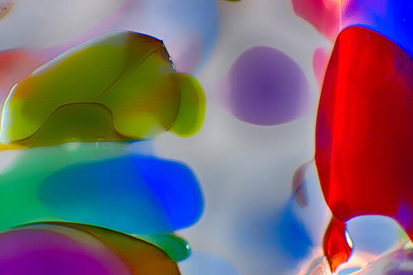 Photograph - Fish Commuting by Omaste Witkowski