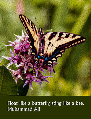 Summer Painting - Float Like A Butterfly by Omaste Witkowski