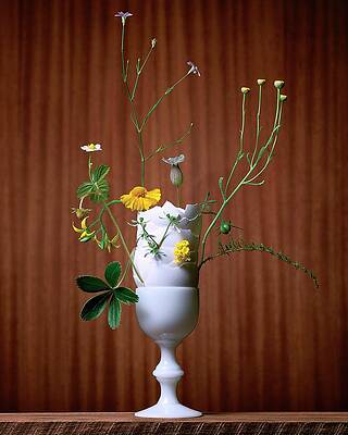 Wildflowers in White Vase Photograph