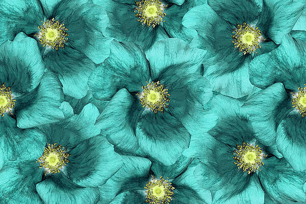 Wall Art featuring the photograph Floral  Background .turquoise Flowers by Fnadya76