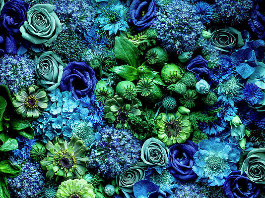 Wall Art featuring the photograph Flower Arrangment, Full Frame by Jonathan Knowles