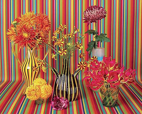 Vibrant Floral Arrangement with Stripes Photograph