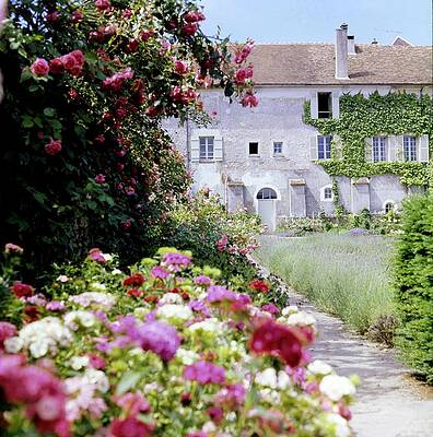 Landscape Architecture Wall Art featuring the photograph Flowers By A House by Horst P. Horst