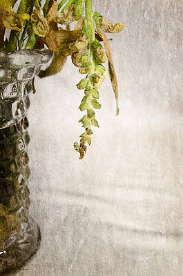 Love Photograph - Flowers Falling by Crystal Wightman