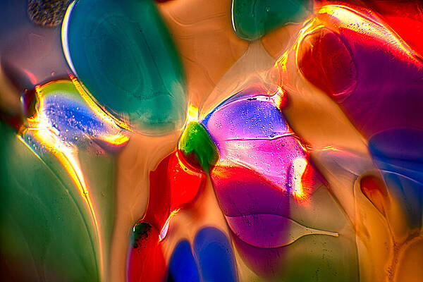 Photograph - Flowers In The Attic by Omaste Witkowski