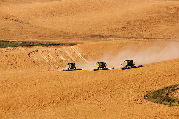 Harvesters in Golden Fields Photograph