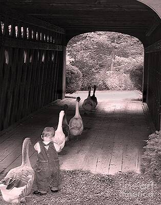 Wall Art featuring the photograph Follow The Leader by Mary Lou Chmura