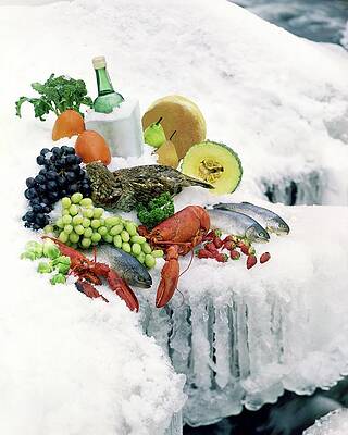 Dead Photograph - Food On Ice by Stan Young