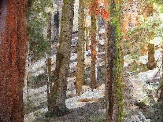 Serene Forest Scene Wall Art