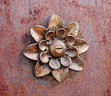 Wall Art featuring the photograph Found Art In New York City by Rona Black