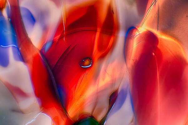 Wall Art featuring the photograph Foxy Lady by Omaste Witkowski