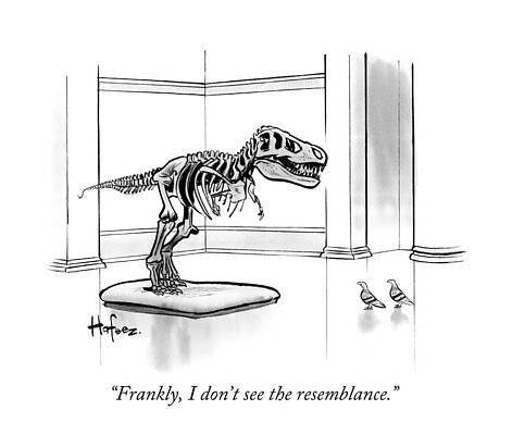 Dinosaur Skeleton and Two Birds Wall Art