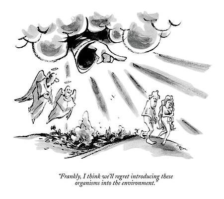 Heavenly Finger Points at Adam and Eve Wall Art