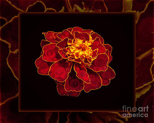 Wall Art featuring the painting French Marigold Abstract Flower Art by Omaste Witkowski