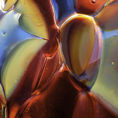 Photograph - Friends by Omaste Witkowski