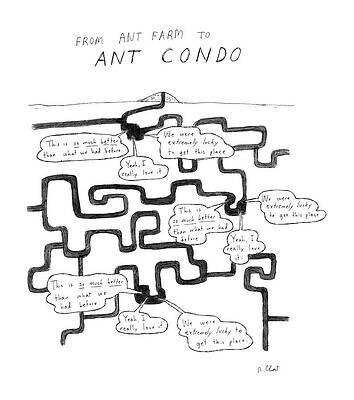 Farm Wall Art featuring the drawing From Ant Farm To Ant Condo by Roz Chast