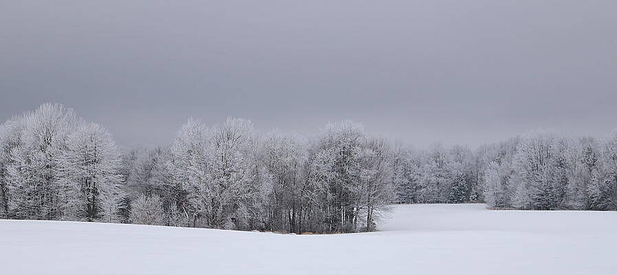Wis Photograph - Frosty Farm Fields by Dale Kauzlaric