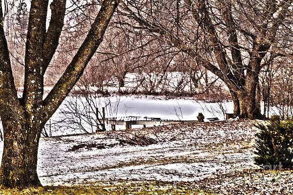 Winter Photograph - Frozen Pond by William Norton