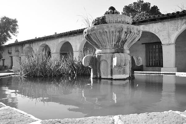 California Wall Art featuring the photograph Fuente Y Arcos by C Thomas Cooney