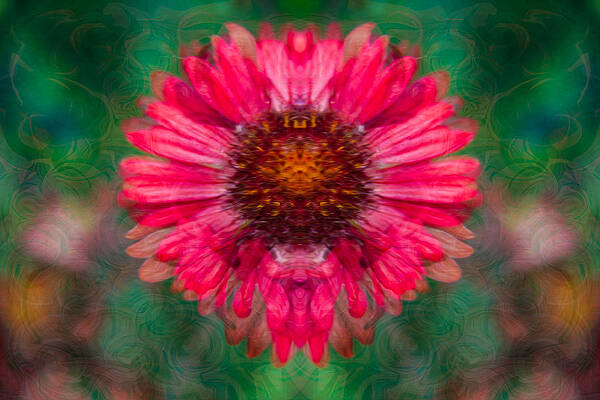 Spring Painting - Fuscia Queen by Omaste Witkowski