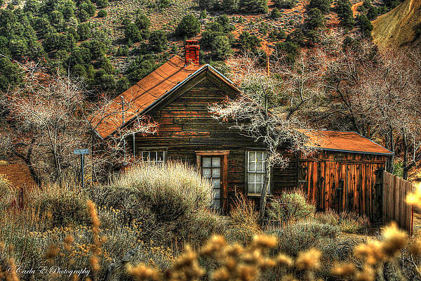 Wall Art featuring the photograph G Street Cabin by Carla E