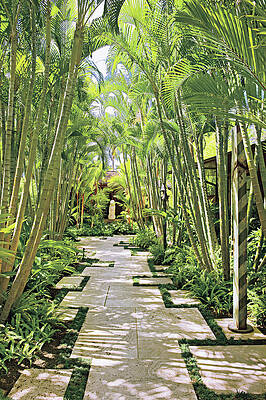 Serene Tropical Garden Pathway Wall Art