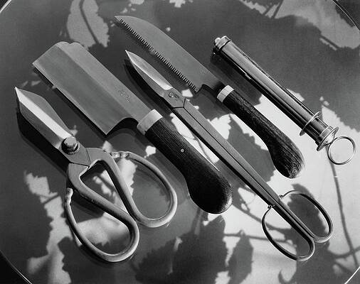 Saw Wall Art featuring the photograph Gardening Tools by Dana B. Merrill