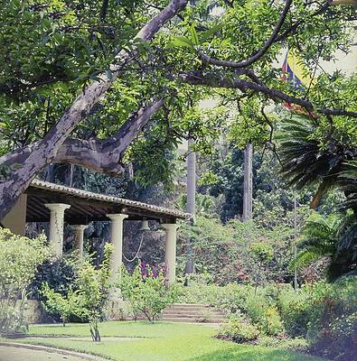 Landscape Architecture Wall Art featuring the photograph Gardens At Hacienda La Vega by Horst P. Horst