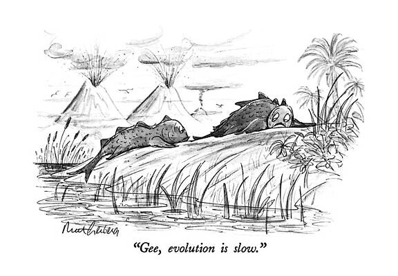 Stone Wall Art featuring the drawing Gee, Evolution Is Slow by Mort Gerberg