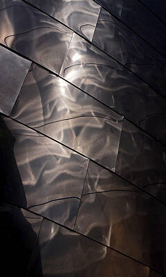 Wall Art featuring the photograph Gehry Magic by Rona Black