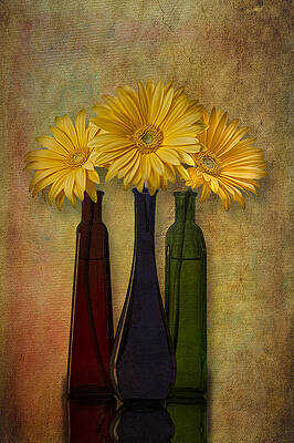 Flower Photograph - Gerbera Trio by Susan Candelario