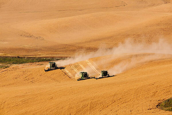 Washington Photograph - Getting Aligned by Mary Jo Allen