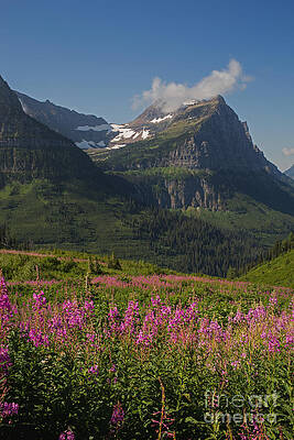 Glacier National Park Photograph - Glacial Views by Natural Focal Point Photography
