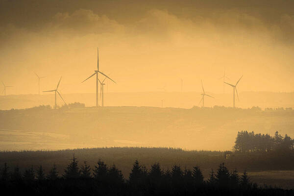Nature Photograph - Glantine Power by Mark Callanan