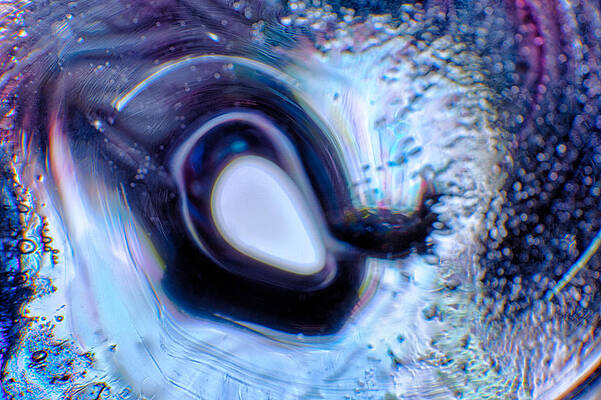 Wall Art featuring the photograph Glass Eye by Omaste Witkowski