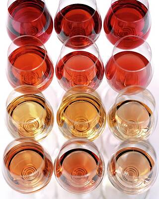 Colorful Array of Wine Glasses Photograph