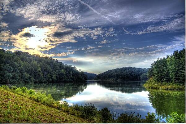 Tree Wall Art featuring the photograph Glassy Waters by Jonny D