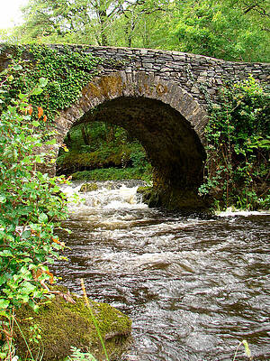 Water Wall Art featuring the photograph Glengariff Single Arch by Mark Callanan