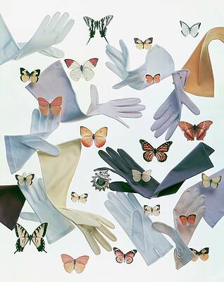Butterflies and Gloves Symphony Photograph