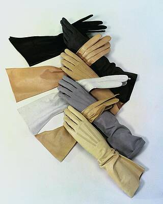 Colorful Assortment of Long Gloves Wall Art