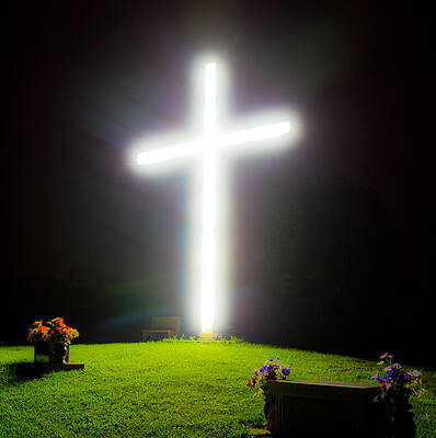 Flower Wall Art featuring the photograph Glowing Cross by Jonny D