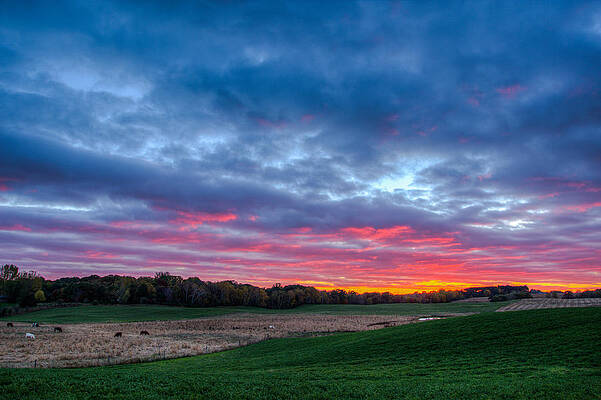 Vibrant Pastel Sunset Over Fields Photograph