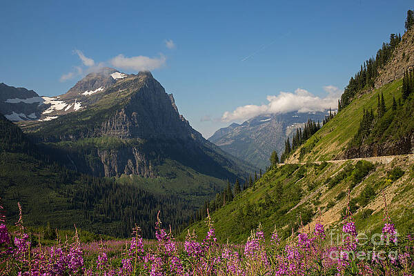 Glacier National Park Photograph - Going To The Sun Road by Natural Focal Point Photography