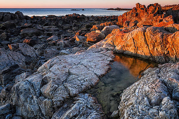 Photograph - Gold Coast First Light On The New Hampshire Coast by Jeff Sinon